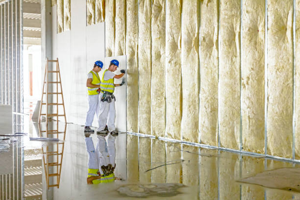 Best Insulation Maintenance and Repair in Curtice, OH